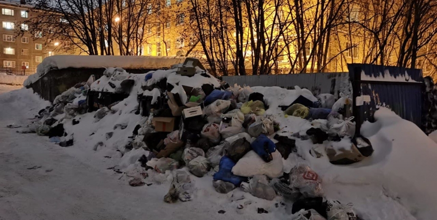 Общественники Мурманской области предлагают реализовать «мусорную» инициативу