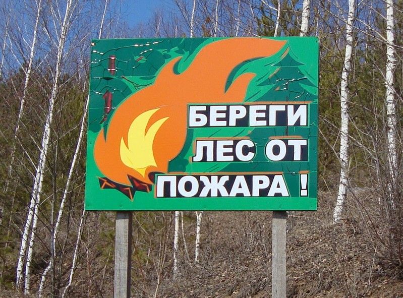 В лесах Мурманской области объявлен пожароопасный сезон