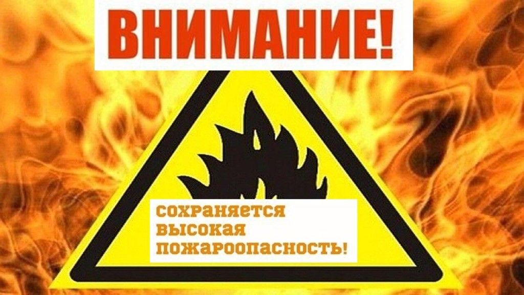 В лесах Мурманской области установлен четвертый класс пожарной опасности
